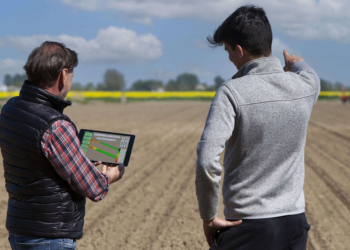Agrária inicia projeto de modernização da gestão de commodities e sementes 3 Agrária inicia projeto de modernização da gestão de commodities e sementes