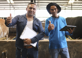 Regionalização do crédito ganha força diante da diversidade da produção brasileira 2 Regionalização do crédito ganha força diante da diversidade da produção brasileira