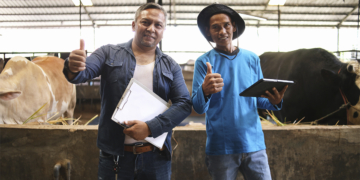 Regionalização do crédito ganha força diante da diversidade da produção brasileira