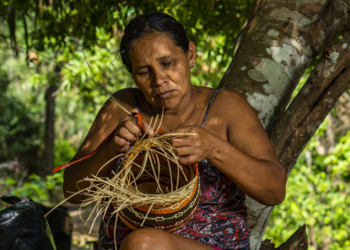 Cooperativas brasileiras apresentam artesanato nacional durante missão em feira parisiense
