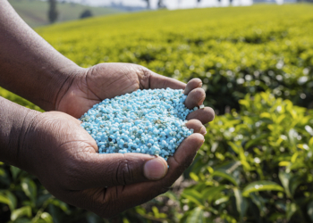 Interesse no mercado de biofertilizantes cresce, mas custo alto é desafio