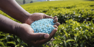 Interesse no mercado de biofertilizantes cresce, mas custo alto é desafio