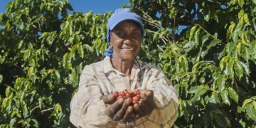 Cooperativa Cooxupé direciona mais de R$ 810 milhões a cooperados e comunidades em 2026 11 Cooperativa Cooxupé direciona mais de R$ 810 milhões a cooperados e comunidades em 2026