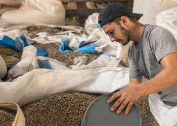 Cooperativas avançam na distribuição de insumos com estrutura integrada ao produtor 4 Cooperativas avançam na distribuição de insumos com estrutura integrada ao produtor