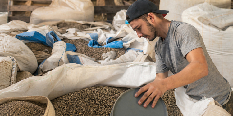 Cooperativas avançam na distribuição de insumos com estrutura integrada ao produtor 1 Cooperativas avançam na distribuição de insumos com estrutura integrada ao produtor