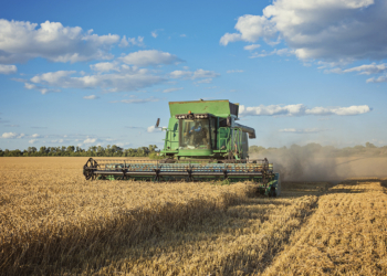Valor de produção de culturas agrícolas do país subiu 18,4% em 2025 2 Valor de produção de culturas agrícolas do país subiu 18,4% em 2025