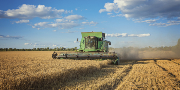 Valor de produção de culturas agrícolas do país subiu 18,4% em 2025 8 Valor de produção de culturas agrícolas do país subiu 18,4% em 2025