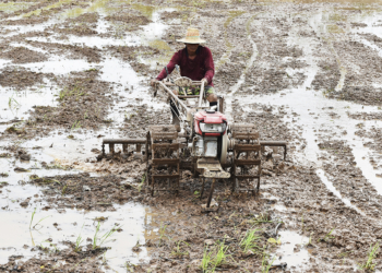 Rastreabilidade e instabilidade climática ampliam desafios de sustentabilidade no agro brasileiro