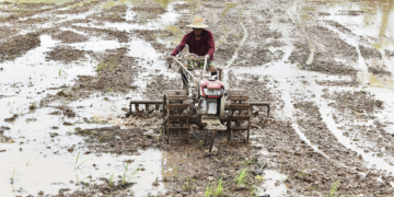 Rastreabilidade e instabilidade climática ampliam desafios de sustentabilidade no agro brasileiro