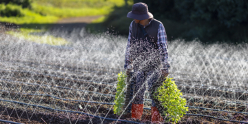Risco climático eleva demanda por irrigação diante de crédito mais restrito