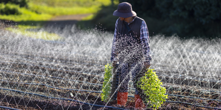 Risco climático eleva demanda por irrigação diante de crédito mais restrito