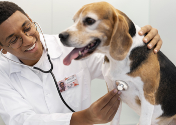 Setor veterinário cria cooperativa para compras coletivas de medicamentos e rações 2 Setor veterinário cria cooperativa para compras coletivas de medicamentos e rações