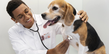 Setor veterinário cria cooperativa para compras coletivas de medicamentos e rações