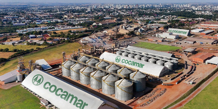 Cocamar aposta em capacitações personalizadas para desenvolver lideranças 1 coonectse