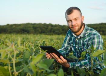 Cooperativas projetam R$ 160 bi e reforçam regionalização do crédito rural 2 dstaque agro