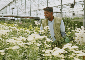Crédito cooperativo impulsiona flores e outras culturas de nicho no campo 2 sicredi 9