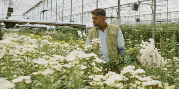 Crédito cooperativo impulsiona flores e outras culturas de nicho no campo 15 sicredi 9