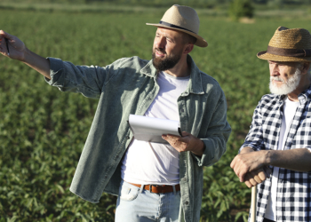 CVM propõe incluir produtores rurais e cooperativas agropecuárias no crowdfunding