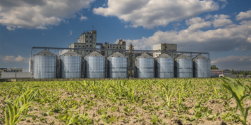 Produção agroindustrial cai 2,7% em agosto, aponta FGV Agro 10 Produção agroindustrial cai 2,7% em agosto, aponta FGV Agro