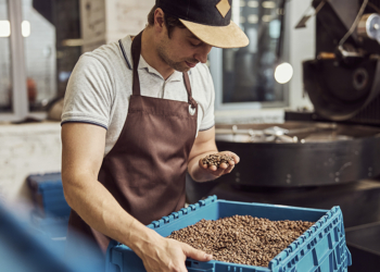Exportações de café crescem 3,1% em setembro com retomada dos EUA