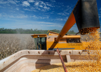 Crédito rural para a agricultura empresarial soma R$ 107,1 bi nos três primeiros meses da safra 2026/2027 2 Crédito rural para a agricultura empresarial soma R$ 107,1 bi nos três primeiros meses da safra 2026/2027