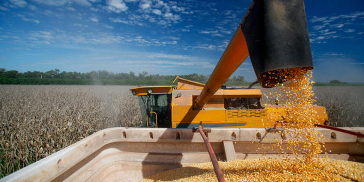 Crédito rural para a agricultura empresarial soma R$ 107,1 bi nos três primeiros meses da safra 2026/2027 1 Crédito rural para a agricultura empresarial soma R$ 107,1 bi nos três primeiros meses da safra 2026/2027