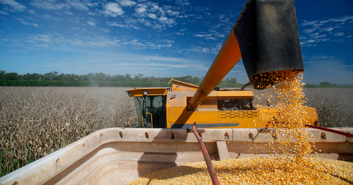 Crédito rural para a agricultura empresarial soma R$ 107,1 bi nos três primeiros meses da safra 2026/2027 1 Crédito rural para a agricultura empresarial soma R$ 107,1 bi nos três primeiros meses da safra 2026/2027
