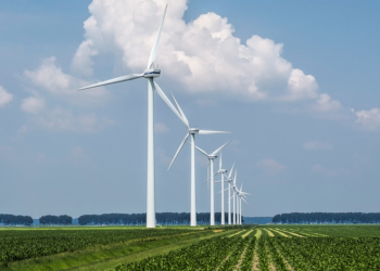 Agro responde por 60% da energia renovável ofertada no país, aponta FGV 4 Agro responde por 60% da energia renovável ofertada no país, aponta FGV