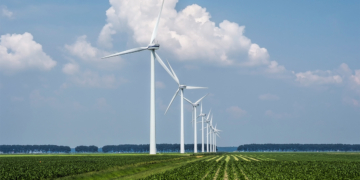 Agro responde por 60% da energia renovável ofertada no país, aponta FGV 8 Agro responde por 60% da energia renovável ofertada no país, aponta FGV