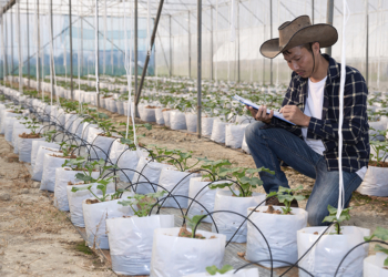 Finep destina R$ 100 milhões a projetos tecnológicos para agricultura familiar 2 Finep destina R$ 100 milhões a projetos tecnológicos para agricultura familiar