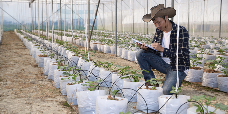 Finep destina R$ 100 milhões a projetos tecnológicos para agricultura familiar 1 Finep destina R$ 100 milhões a projetos tecnológicos para agricultura familiar