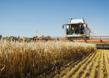 Valor Bruto da Produção Agropecuária é estimado em R$ 1,44 trilhão em setembro 2 Valor Bruto da Produção Agropecuária é estimado em R$ 1,44 trilhão em setembro