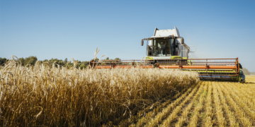 Valor Bruto da Produção Agropecuária é estimado em R$ 1,44 trilhão em setembro 12 Valor Bruto da Produção Agropecuária é estimado em R$ 1,44 trilhão em setembro
