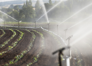 Mudanças climáticas aumentam necessidade de irrigação no campo brasileiro