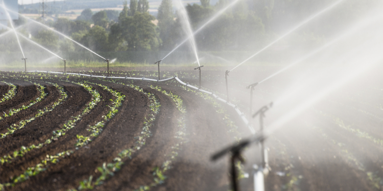 Mudanças climáticas aumentam necessidade de irrigação no campo brasileiro
