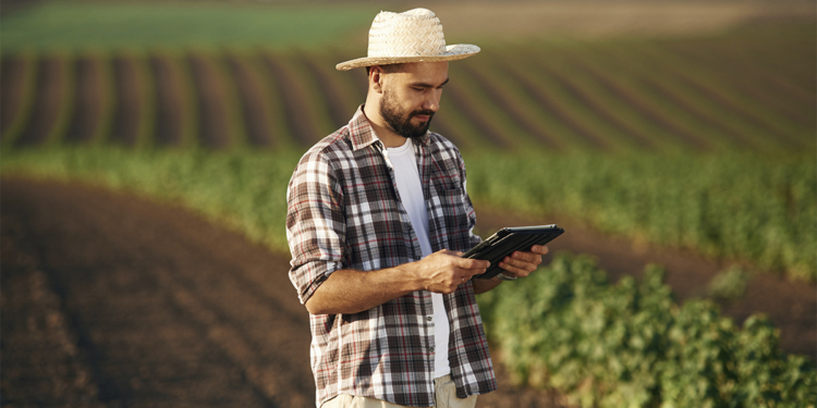 Mapa lança página com informações e orientações sobre os impactos do El Niño no agro 1 Mapa lança página com informações e orientações sobre os impactos do El Niño no agro