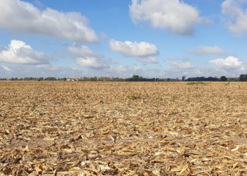 Seca extrema avança no Brasil às vésperas de El Niño muito forte 2 Seca extrema avança no Brasil às vésperas de El Niño muito forte