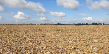 Seca extrema avança no Brasil às vésperas de El Niño muito forte 8 Seca extrema avança no Brasil às vésperas de El Niño muito forte