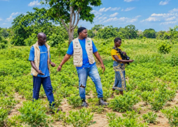 Cresol participa de projeto para fortalecer cooperativas de agricultores em Moçambique